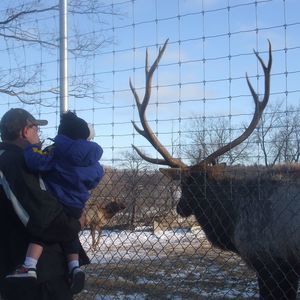 Meet your Posher, Roy